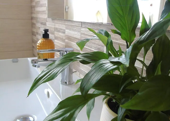 فندق مبيت وإفطار Villino Vanzetti 1930